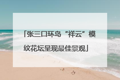 张三口环岛“祥云”模纹花坛呈现最佳景观