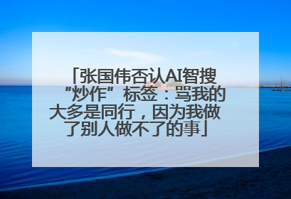 张国伟否认AI智搜“炒作”标签：骂我的大多是同行，因为我做了别人做不了的事