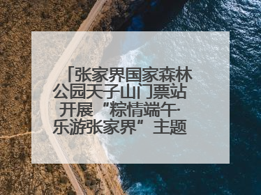 张家界国家森林公园天子山门票站开展“粽情端午·乐游张家界”主题宠客活动