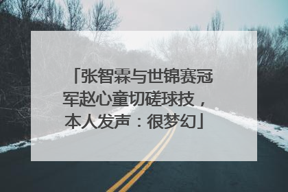 张智霖与世锦赛冠军赵心童切磋球技，本人发声：很梦幻
