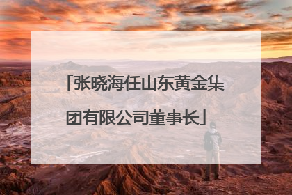 张晓海任山东黄金集团有限公司董事长
