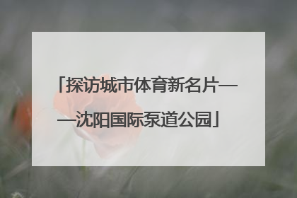 探访城市体育新名片——沈阳国际泵道公园