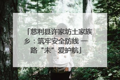 慈利县许家坊土家族乡：筑牢安全防线 一路“未”爱护航