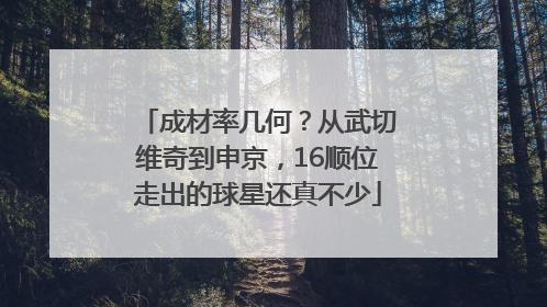 成材率几何？从武切维奇到申京，16顺位走出的球星还真不少