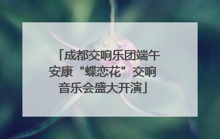 成都交响乐团端午安康“蝶恋花”交响音乐会盛大开演