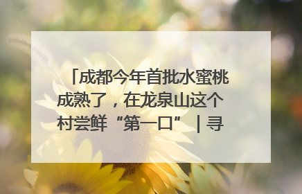 成都今年首批水蜜桃成熟了，在龙泉山这个村尝鲜“第一口”｜寻找和美乡村推荐官
