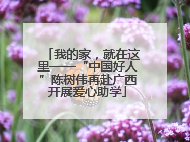 我的家，就在这里——“中国好人”陈树伟再赴广西开展爱心助学