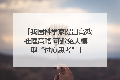 我国科学家提出高效推理策略 可避免大模型“过度思考”