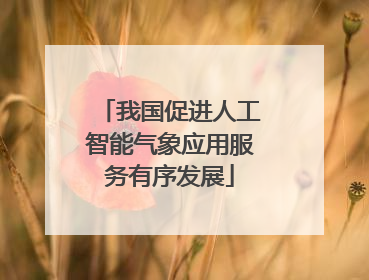 我国促进人工智能气象应用服务有序发展