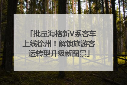 批量海格新V系客车上线徐州！解锁旅游客运转型升级新图景