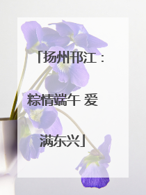 扬州邗江：粽情端午 爱满东兴