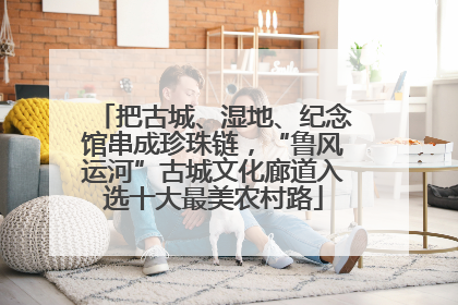 把古城、湿地、纪念馆串成珍珠链，“鲁风运河”古城文化廊道入选十大最美农村路