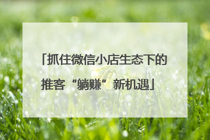 抓住微信小店生态下的推客“躺赚”新机遇