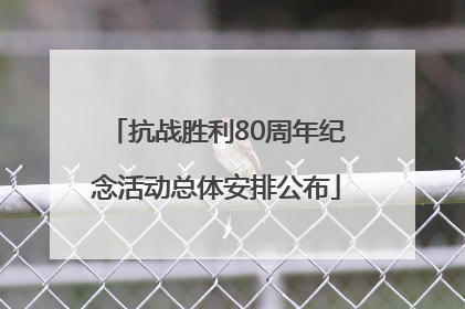 抗战胜利80周年纪念活动总体安排公布
