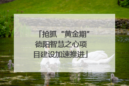 抢抓“黄金期” 德阳智慧之心项目建设加速推进