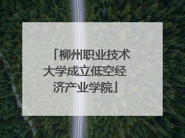 柳州职业技术大学成立低空经济产业学院