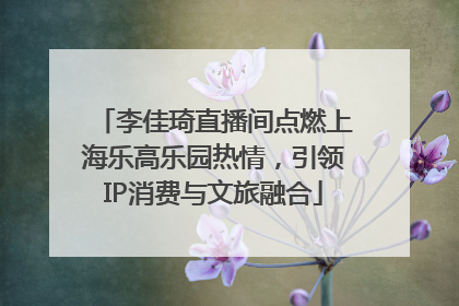 李佳琦直播间点燃上海乐高乐园热情，引领IP消费与文旅融合