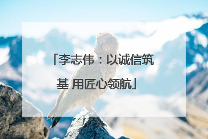 李志伟：以诚信筑基 用匠心领航
