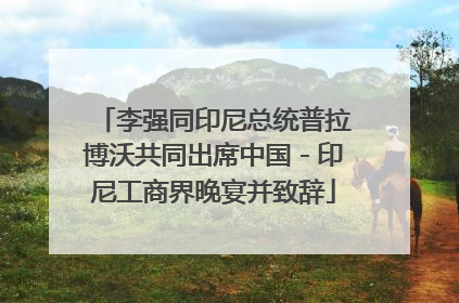 李强同印尼总统普拉博沃共同出席中国－印尼工商界晚宴并致辞