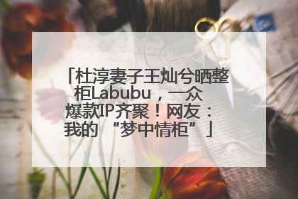 杜淳妻子王灿兮晒整柜Labubu，一众爆款IP齐聚！网友：我的 “梦中情柜”