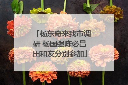 杨东奇来我市调研 杨国强陈必昌田和友分别参加