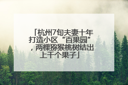 杭州7旬夫妻十年打造小区“百果园”，两棵猕猴桃树结出上千个果子