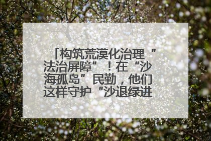 构筑荒漠化治理“法治屏障”！在“沙海孤岛”民勤，他们这样守护“沙退绿进”的生态奇迹