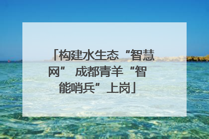 构建水生态“智慧网” 成都青羊“智能哨兵”上岗