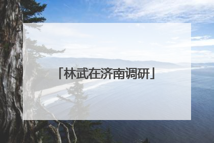 林武在济南调研