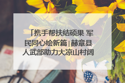 携手帮扶结硕果 军民同心绘新篇∣赫章县人武部助力大凉山村阔步乡村振兴路