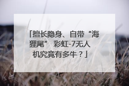 擅长隐身、自带“海狸尾” 彩虹-7无人机究竟有多牛？