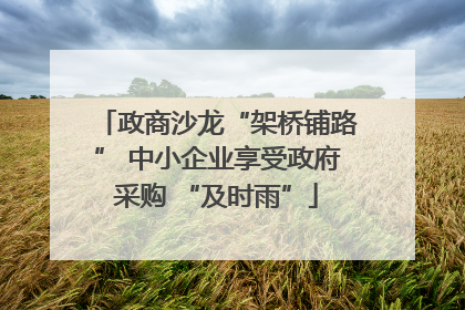 政商沙龙“架桥铺路” 中小企业享受政府采购 “及时雨”