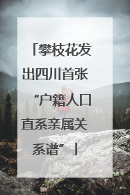 攀枝花发出四川首张“户籍人口直系亲属关系谱”