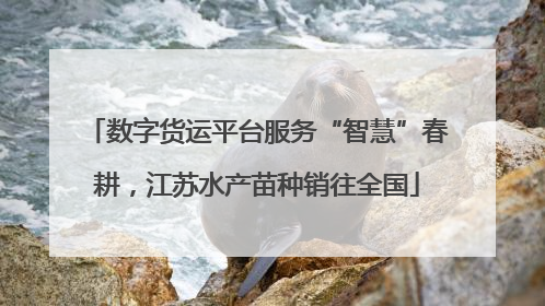 数字货运平台服务“智慧”春耕，江苏水产苗种销往全国