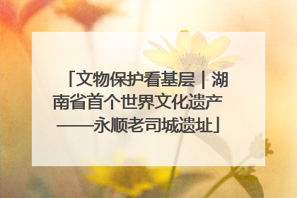 文物保护看基层｜湖南省首个世界文化遗产——永顺老司城遗址