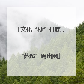文化“梗”打底，“苏超”踢出圈