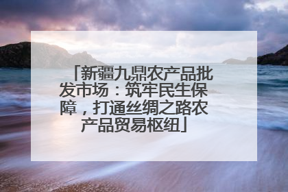 新疆九鼎农产品批发市场：筑牢民生保障，打通丝绸之路农产品贸易枢纽