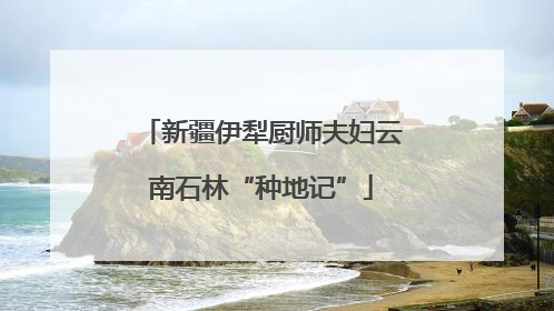 新疆伊犁厨师夫妇云南石林“种地记”