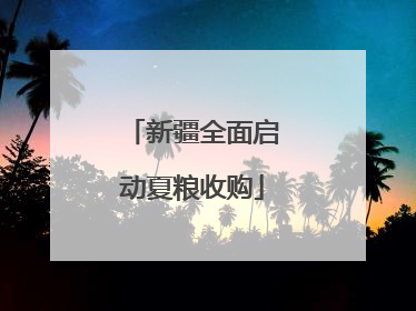 新疆全面启动夏粮收购