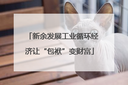 新余发展工业循环经济让“包袱”变财富