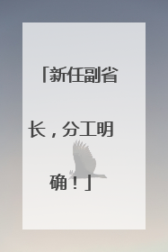 新任副省长，分工明确！