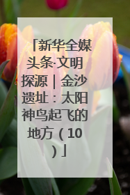 新华全媒头条·文明探源｜金沙遗址：太阳神鸟起飞的地方（10）