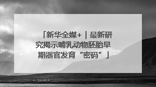 新华全媒+｜最新研究揭示哺乳动物胚胎早期器官发育“密码”