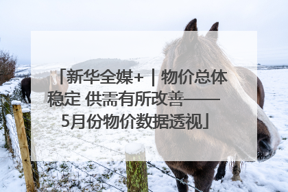 新华全媒+｜物价总体稳定 供需有所改善——5月份物价数据透视