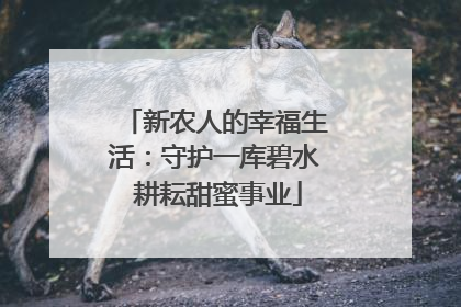 新农人的幸福生活：守护一库碧水 耕耘甜蜜事业
