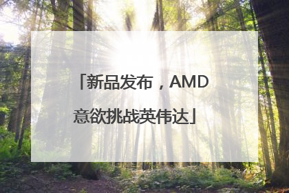 新品发布，AMD意欲挑战英伟达