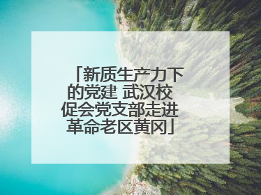 新质生产力下的党建 武汉校促会党支部走进革命老区黄冈