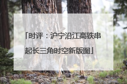 时评：沪宁沿江高铁串起长三角时空新版图