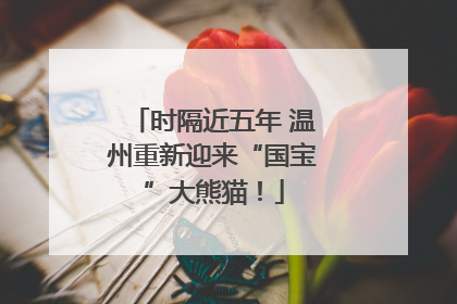 时隔近五年 温州重新迎来“国宝”大熊猫！