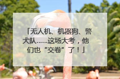 无人机、机器狗、警犬队……这场大考，他们也“交卷”了！